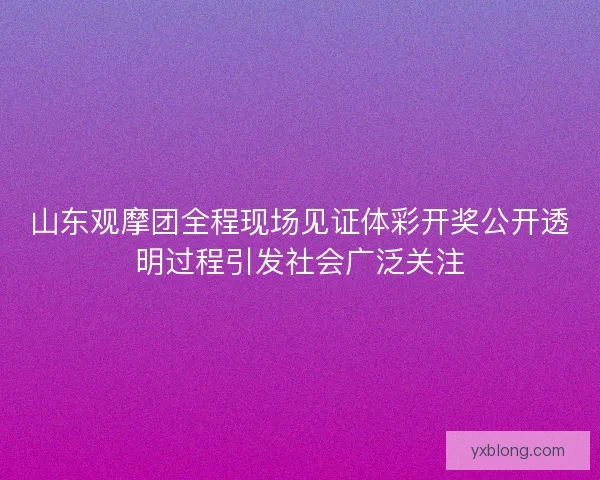 山东观摩团全程现场见证体彩开奖公开透明过程引发社会广泛关注